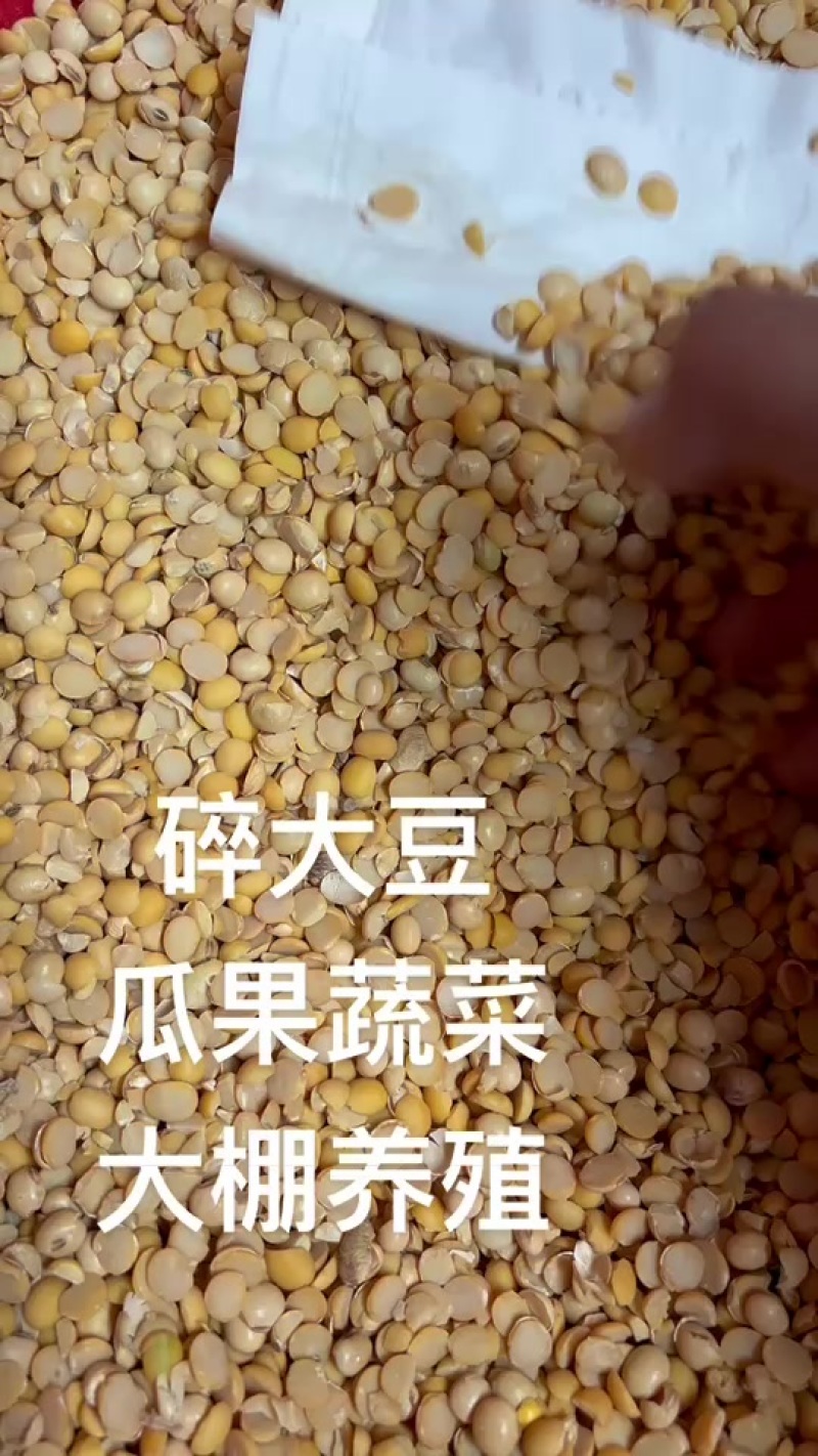 碎黄豆