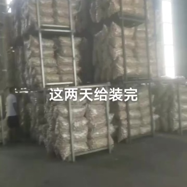 邳县大蒜