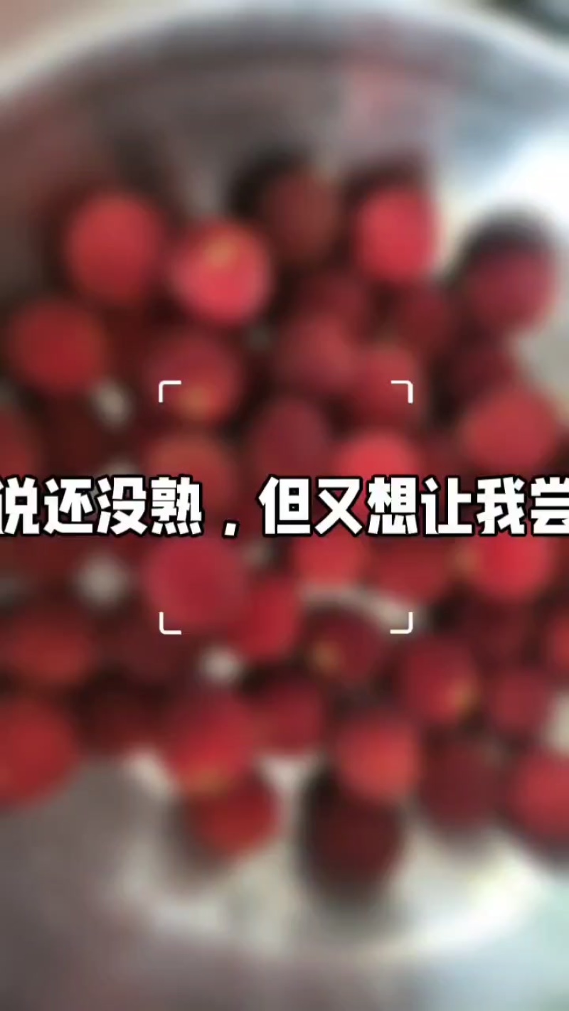 九分甜一分酸仙居东魁杨梅