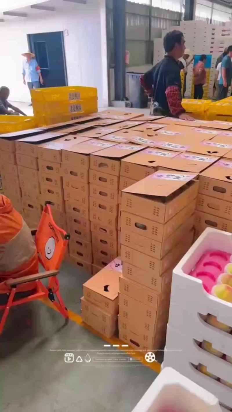 阳山水蜜桃