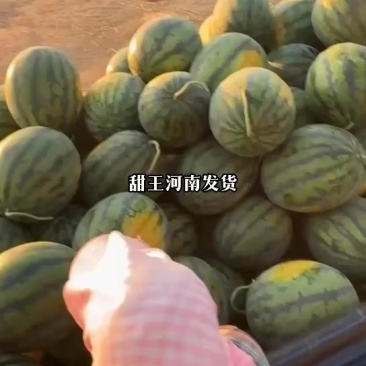 甜王西瓜