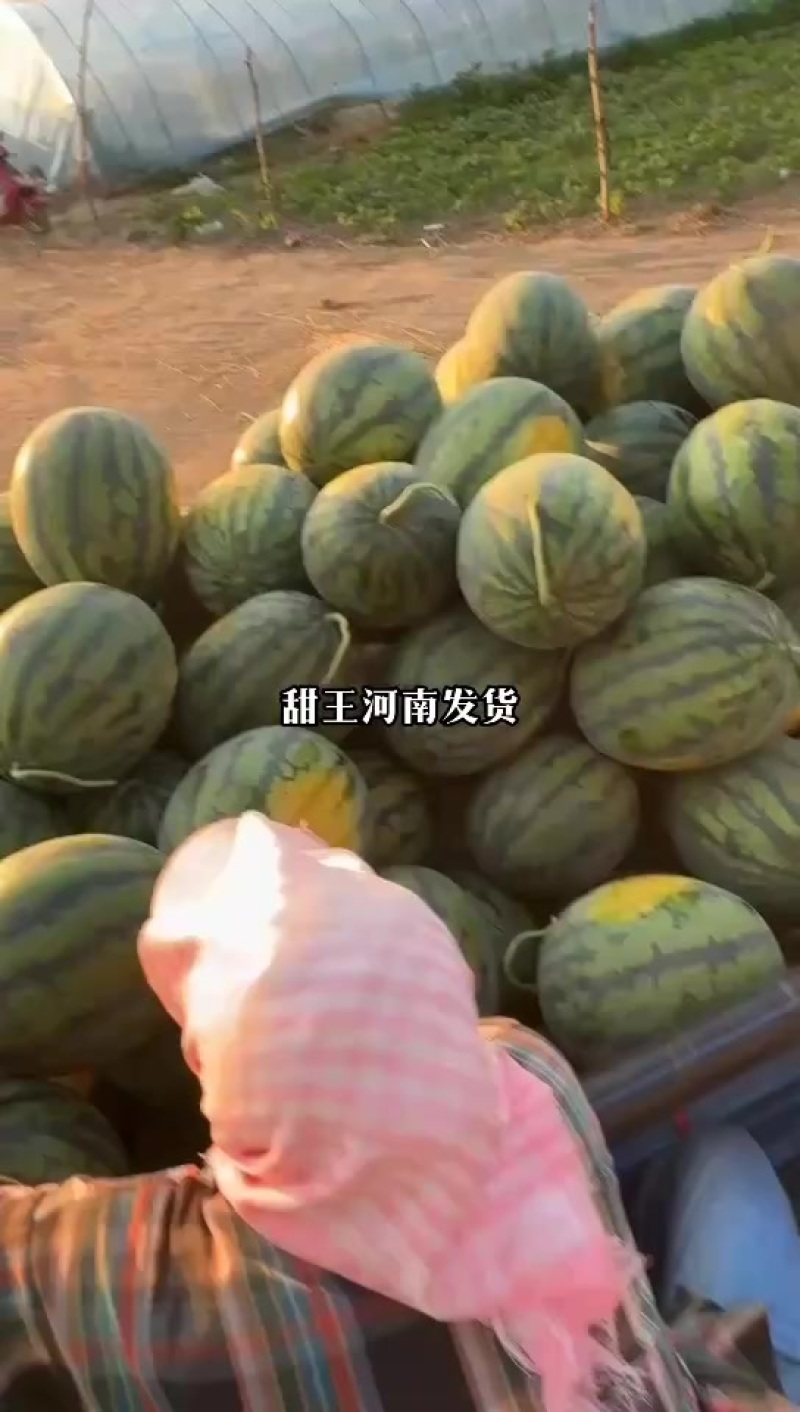 甜王西瓜