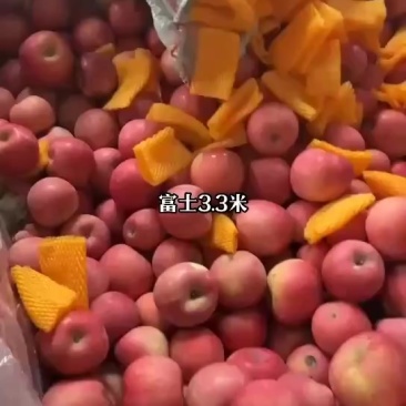 富土苹果
