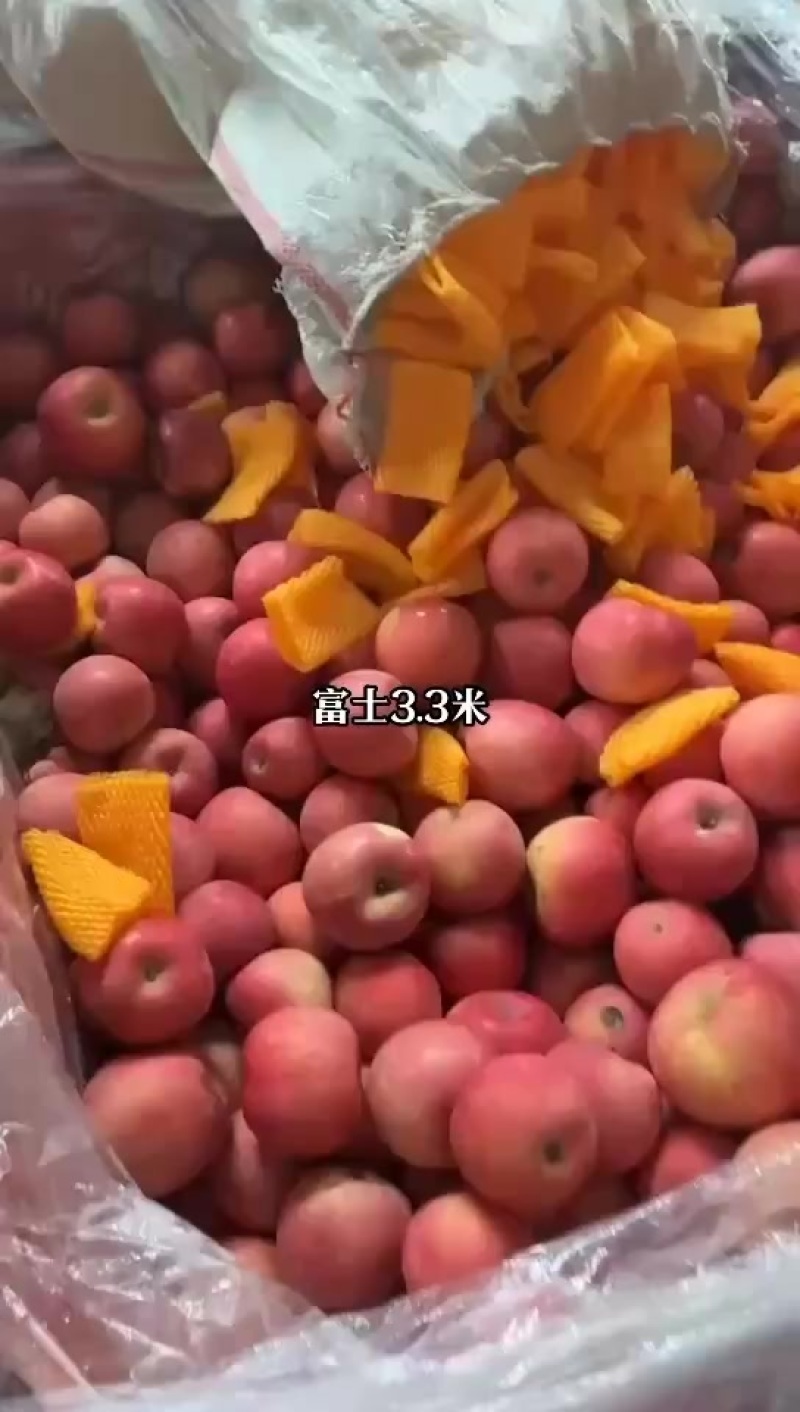 富土苹果