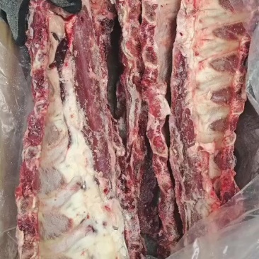 牛肩胛骨