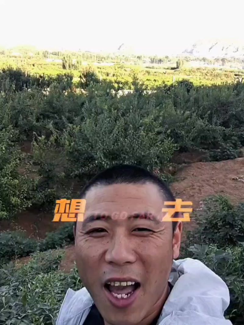 蟠桃