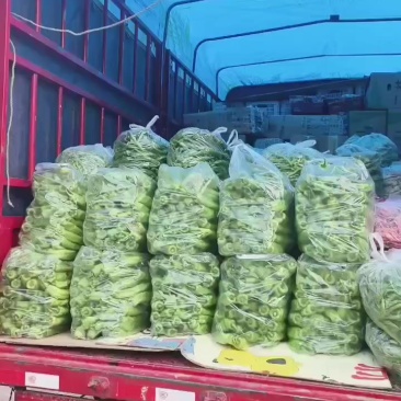 蔬菜茄子黄瓜辣椒