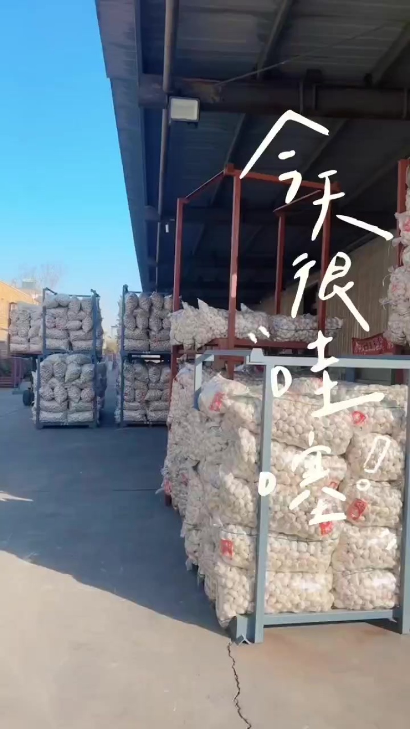大蒜