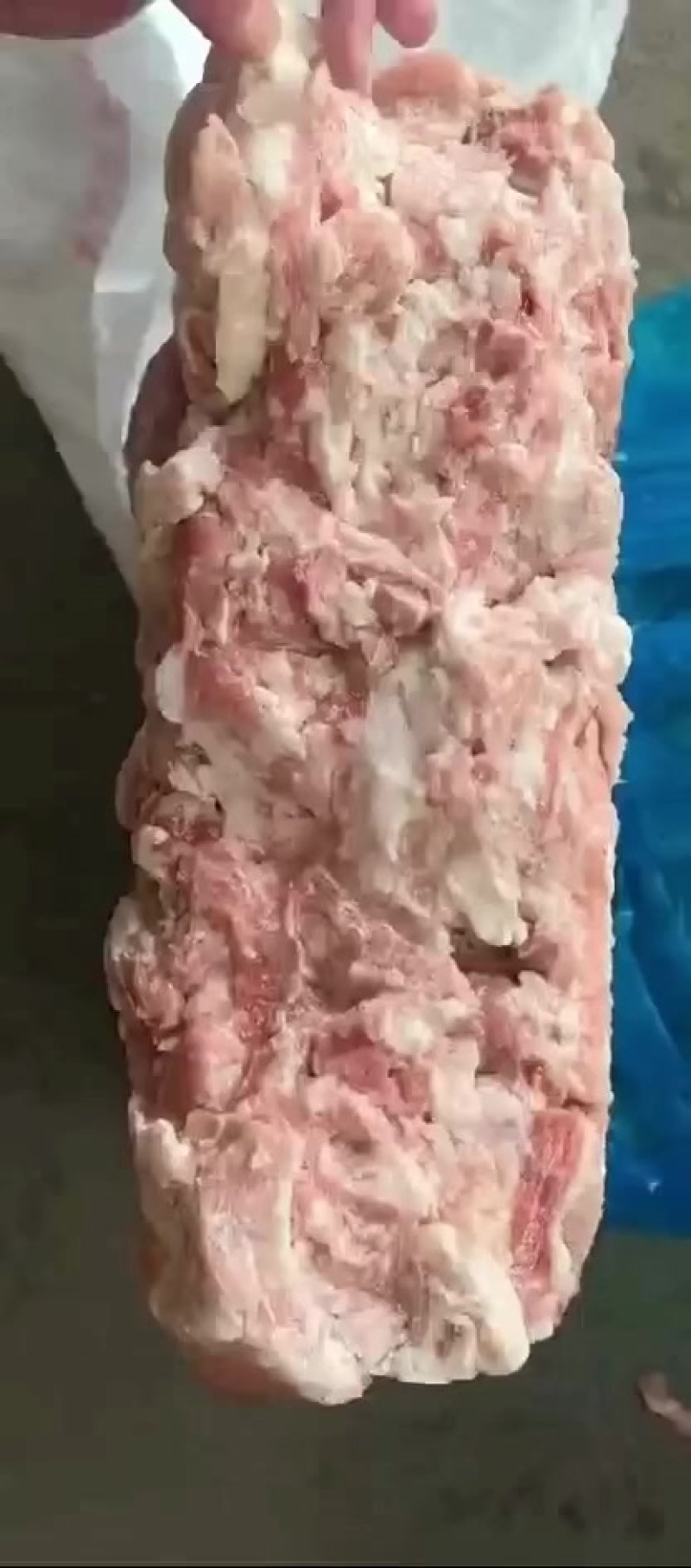 正三七，新货现货