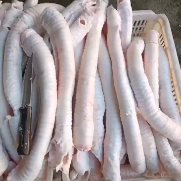精修牛肺管