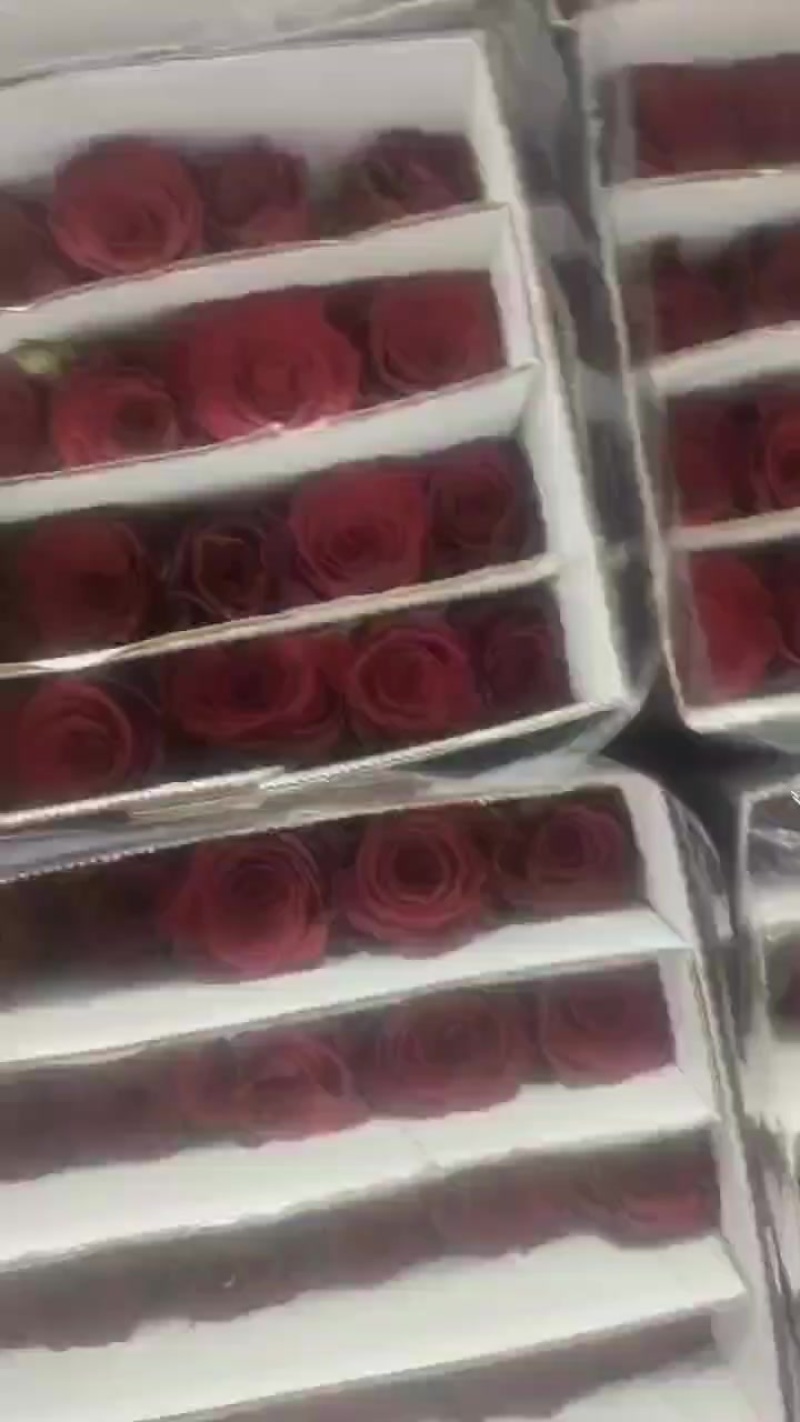 高原红