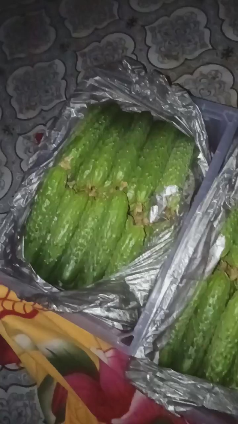 旱黄瓜