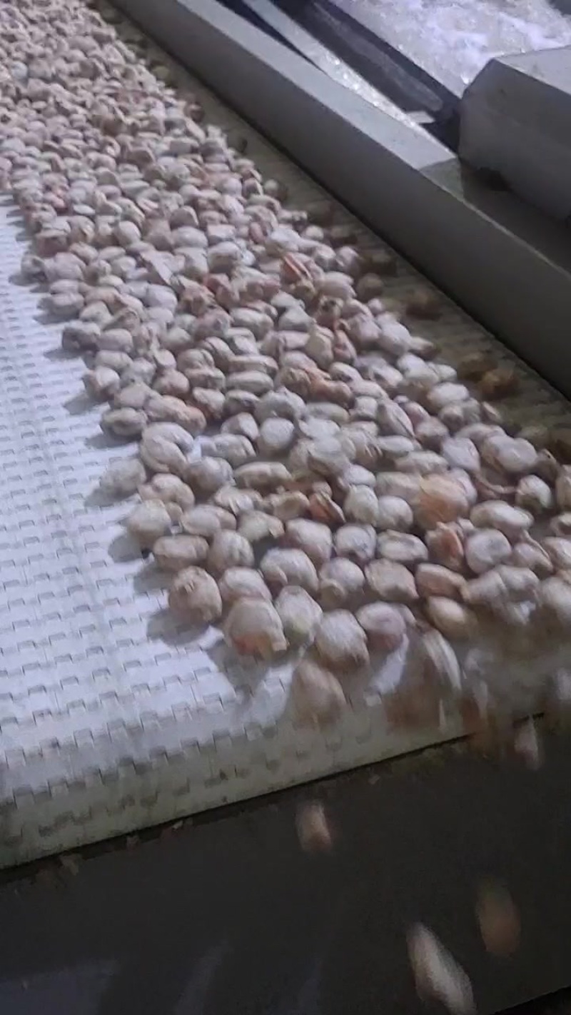 扇贝肉