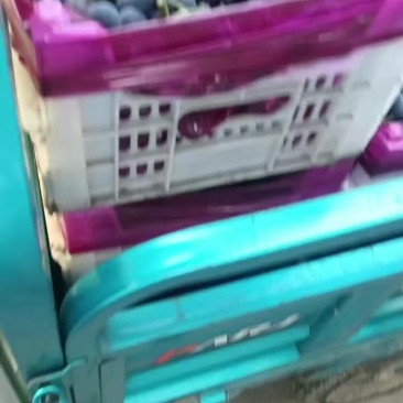 夏黑葡萄