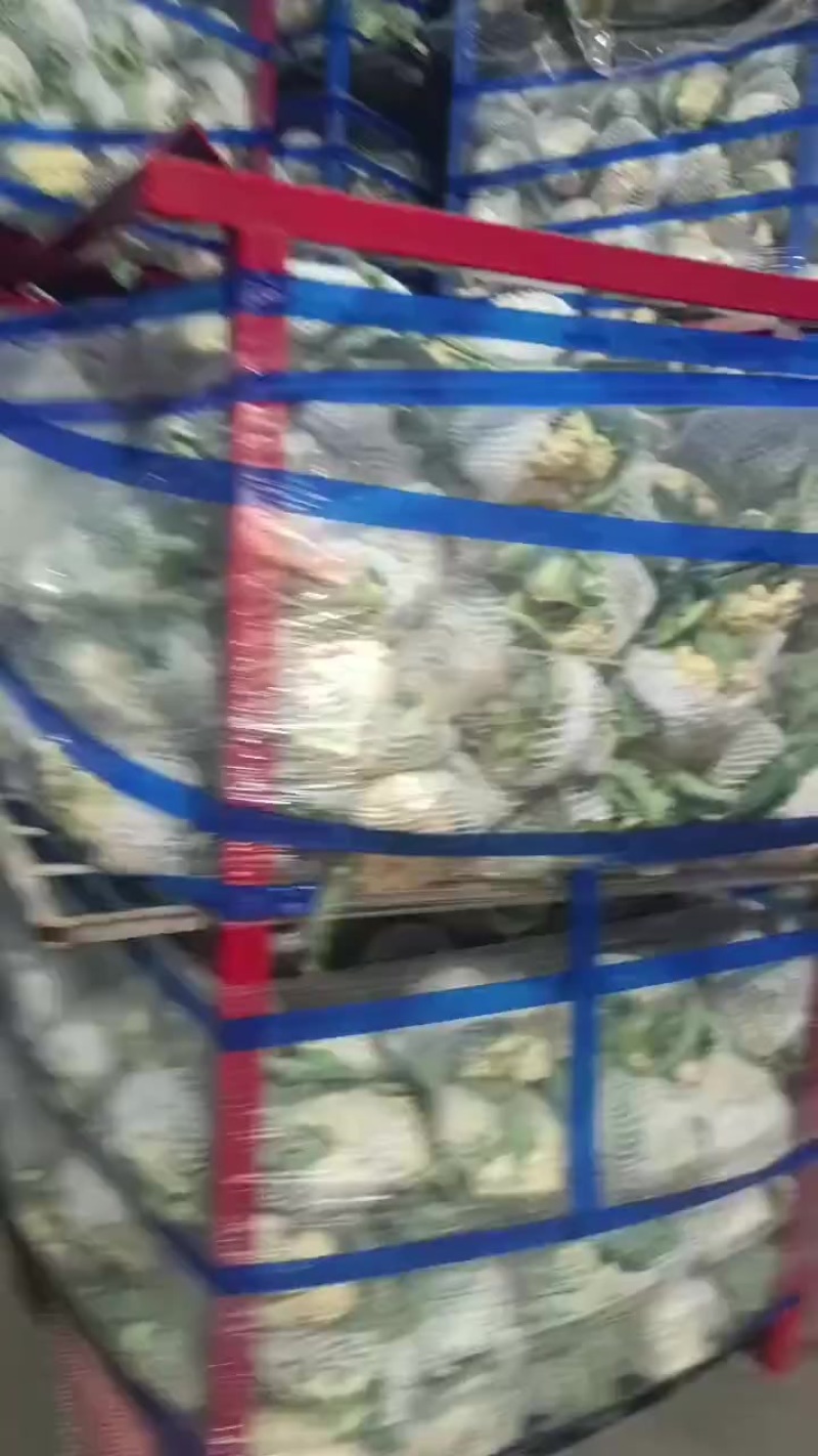 有机散花