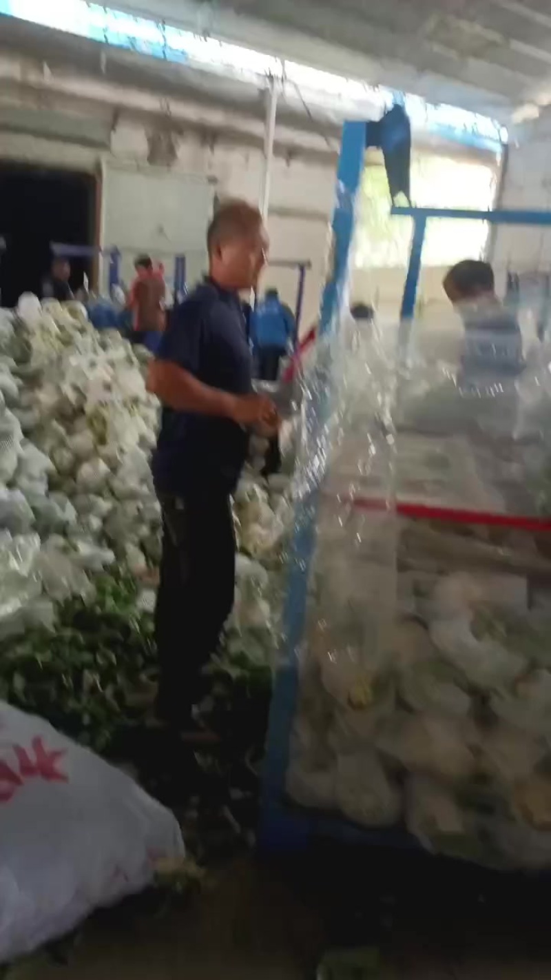 有机散花