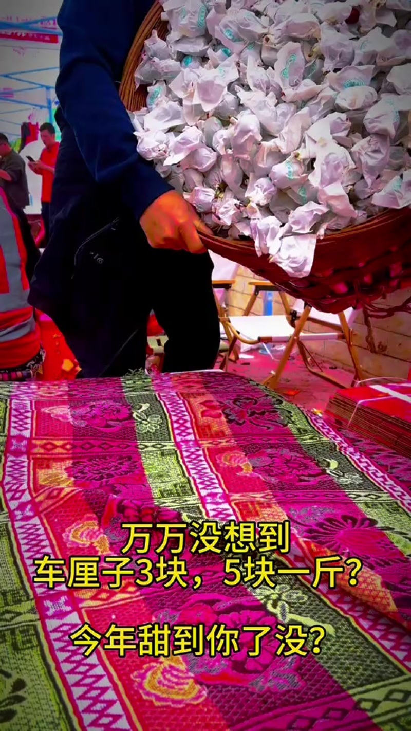 高山车厘子5块钱，甜了大家，苦了果农
