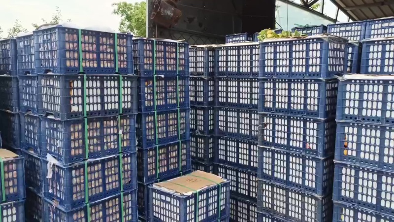 产地直发，大量上市