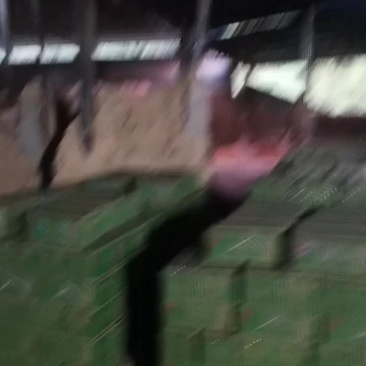 纯竹粉机制炭