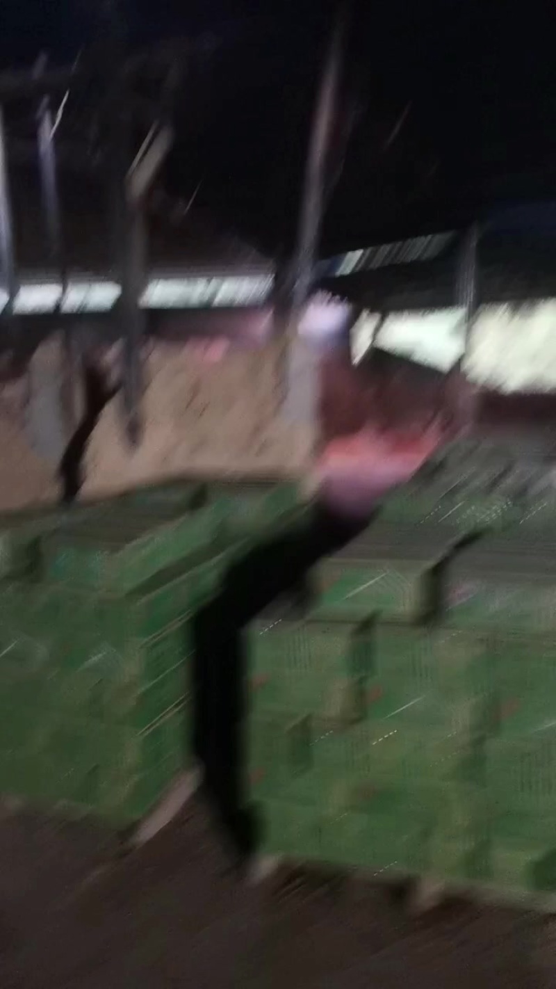 纯竹粉机制炭