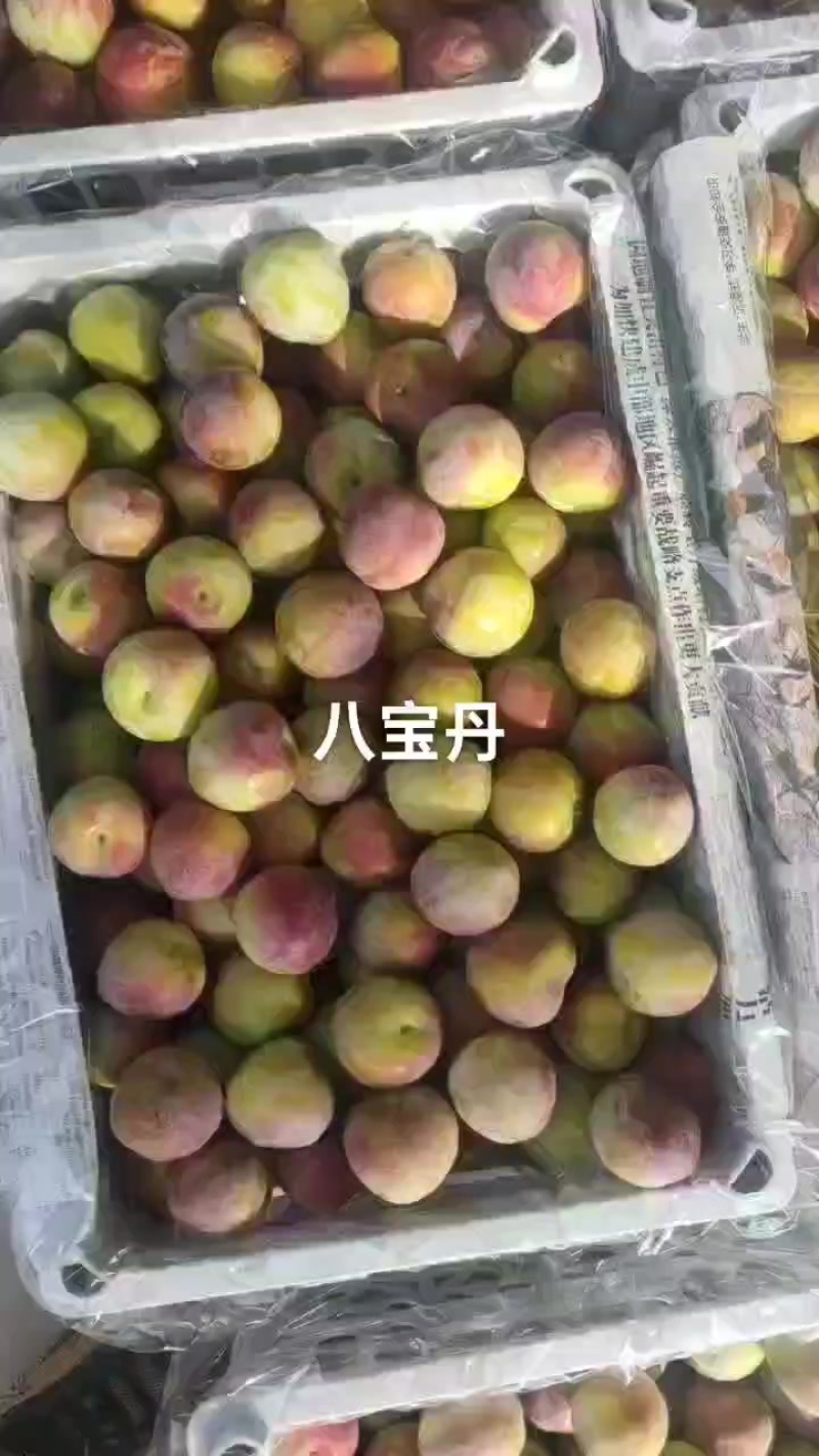 八宝单慢慢上市，几天雨后要大量上市，需要的老板可来预购哦