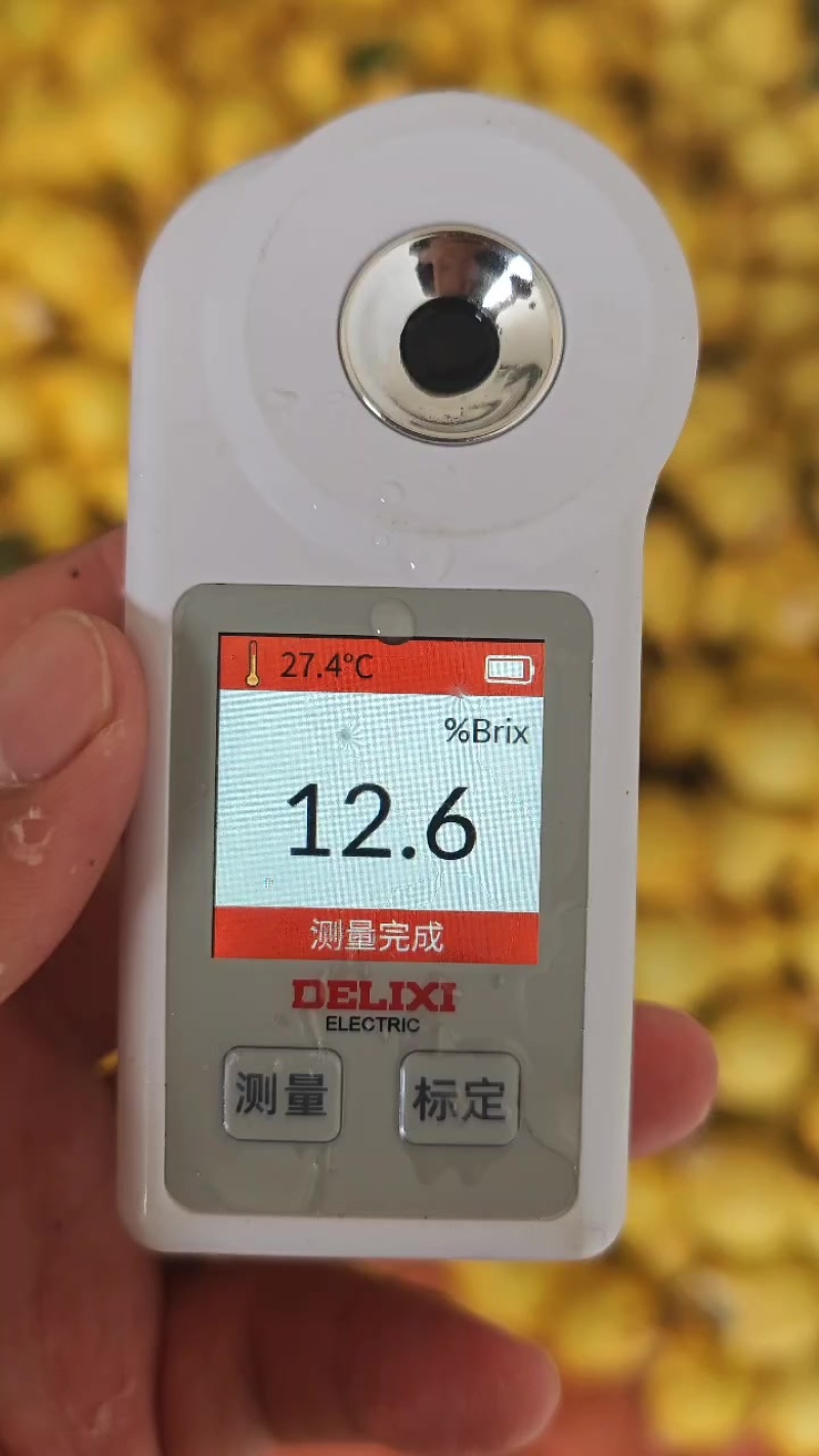 砀山梨，酥脆，翠玉
