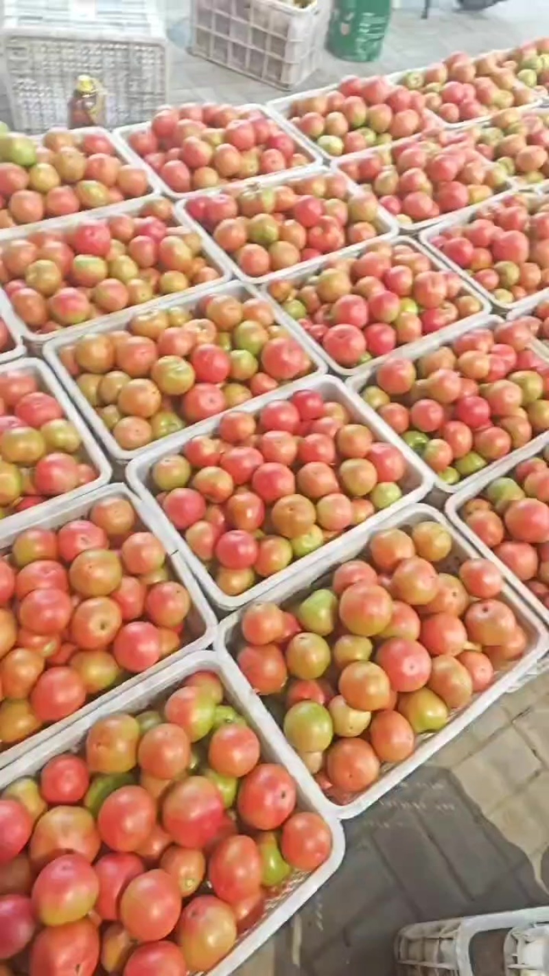 口感特别好，**大沙瓤