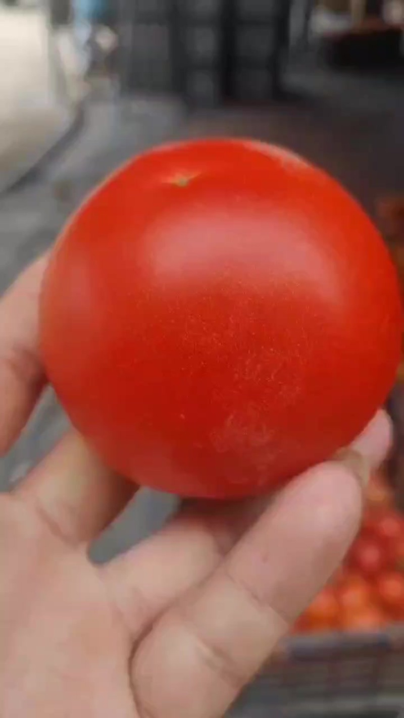 西红柿，大红