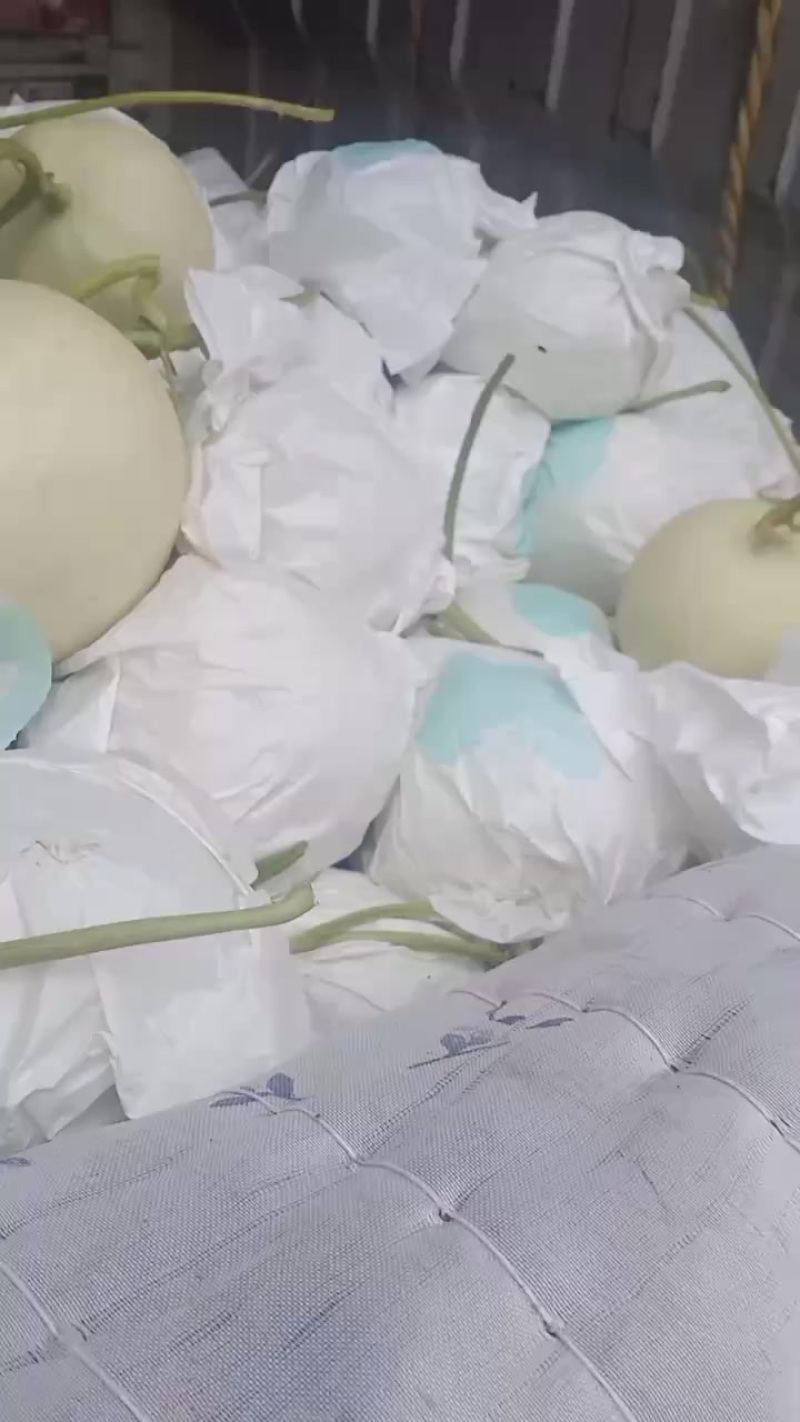 暖室头茬玉姑，九红瑞，小密25，一起4000斤，自产自销