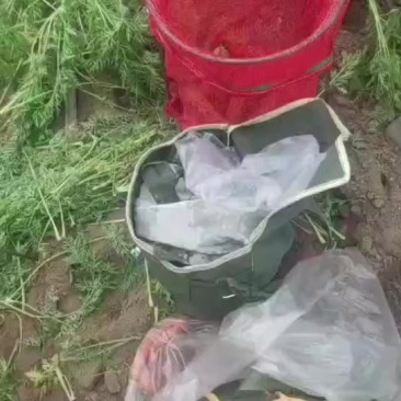 原地通，加工厂货