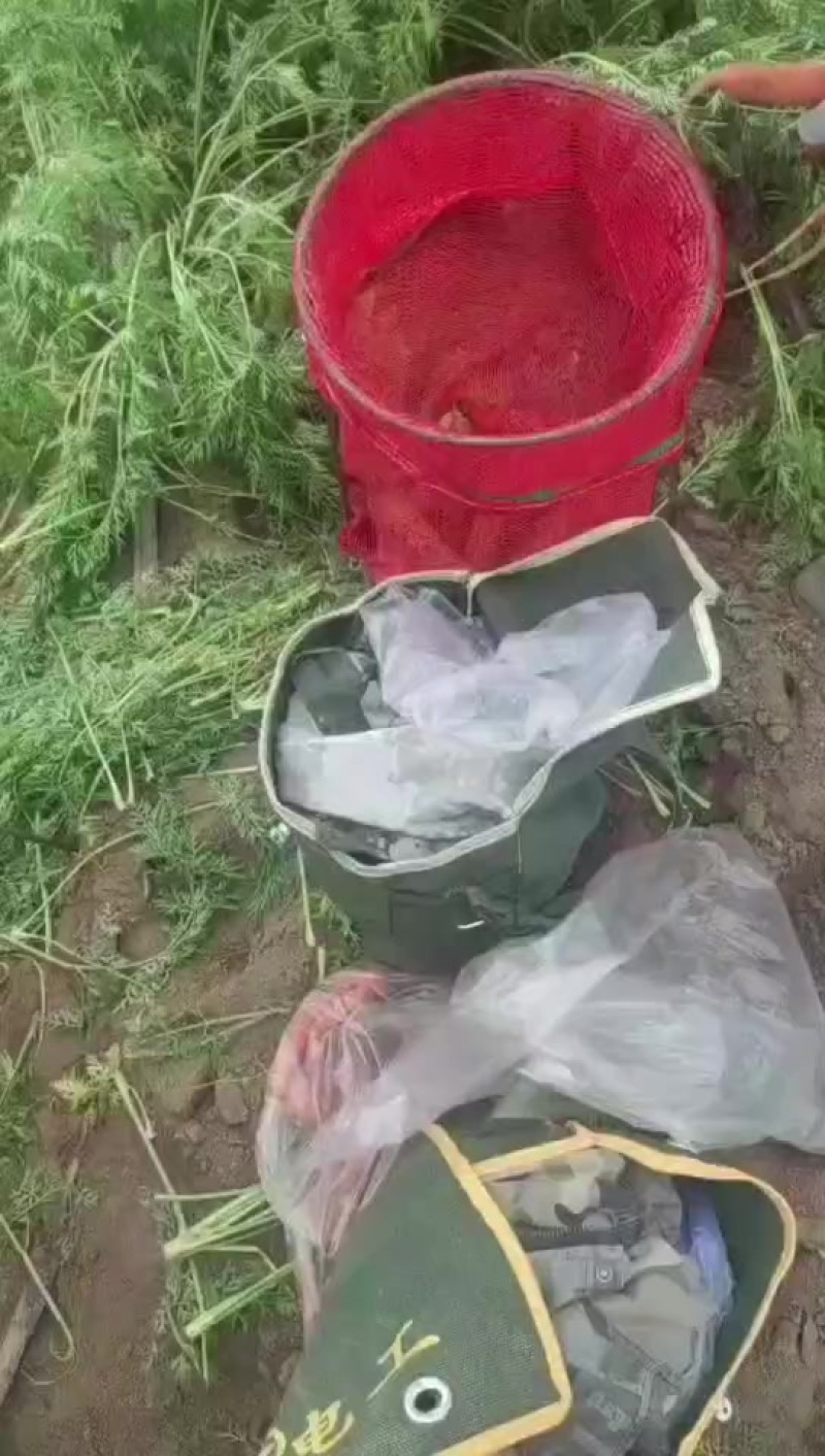 原地通，加工厂货