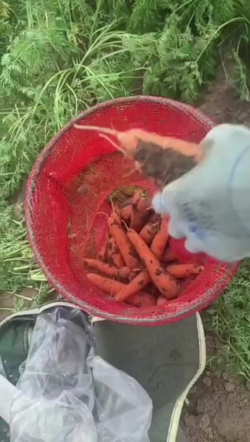 原地通，加工厂货