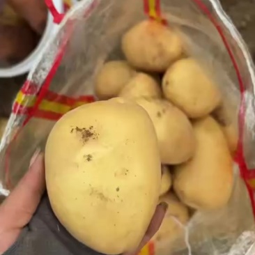 土豆