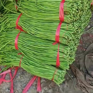 精品长豆角