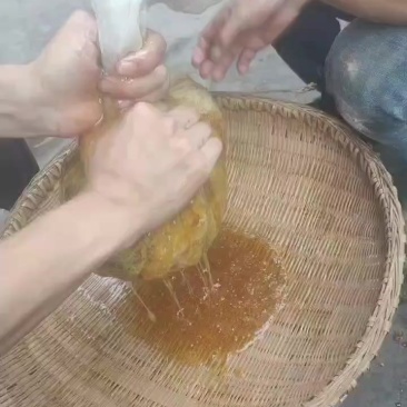 正宗农村土蜂蜜