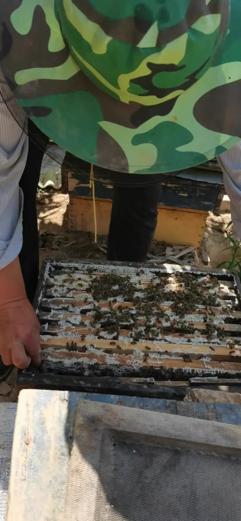 ***的。土蜂蜜，质量保证
