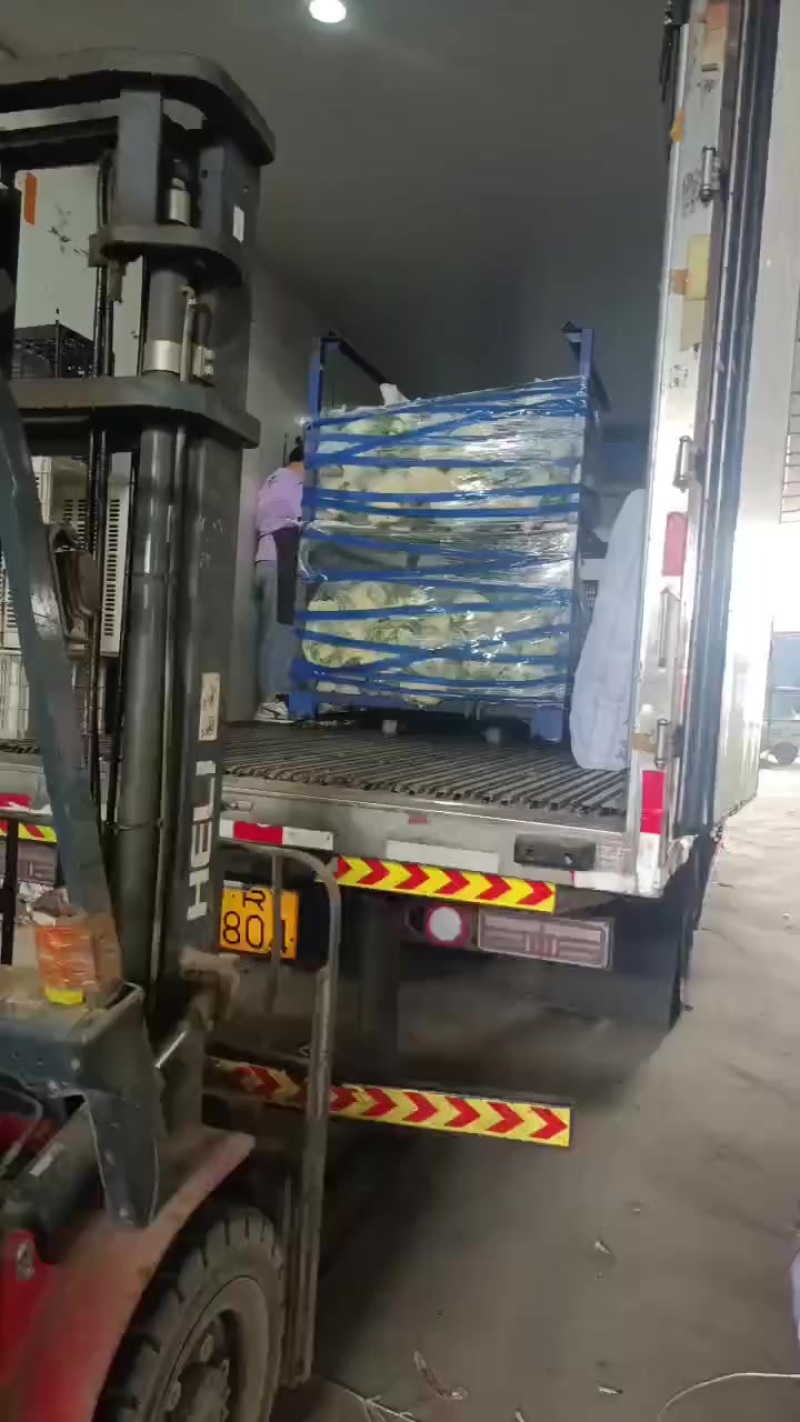 精品冷库有机花，特价出库
