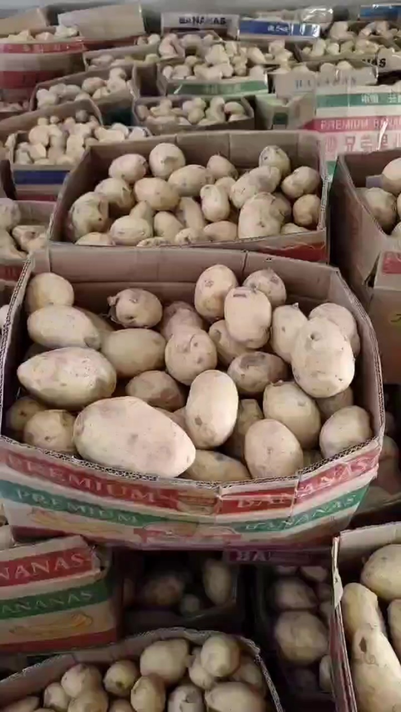 土豆，黄芯