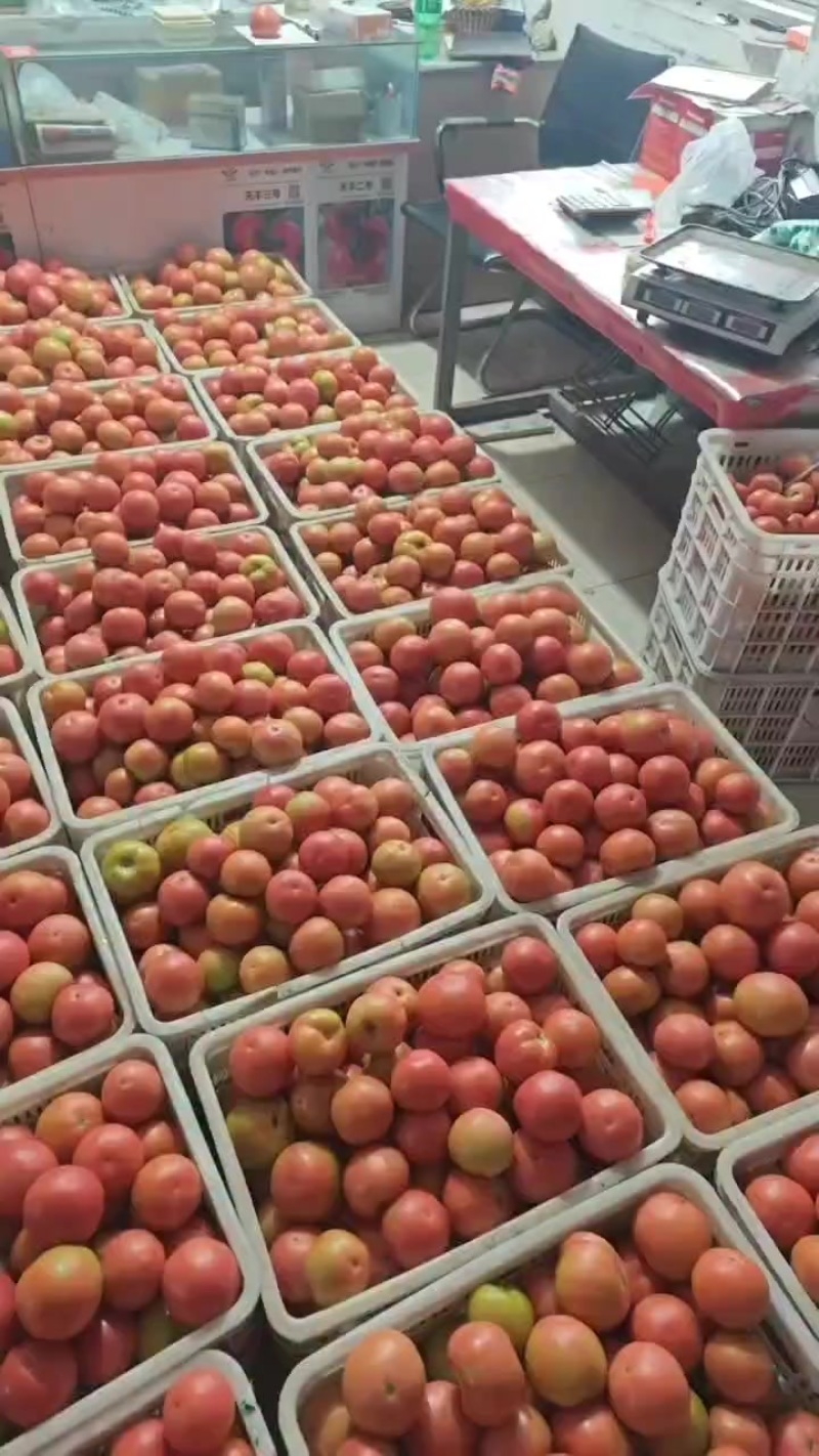大沙瓤，口感好