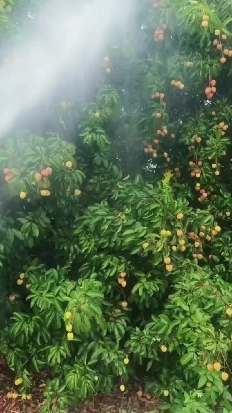 广东省揭阳市惠来县东埔场东埔下乡