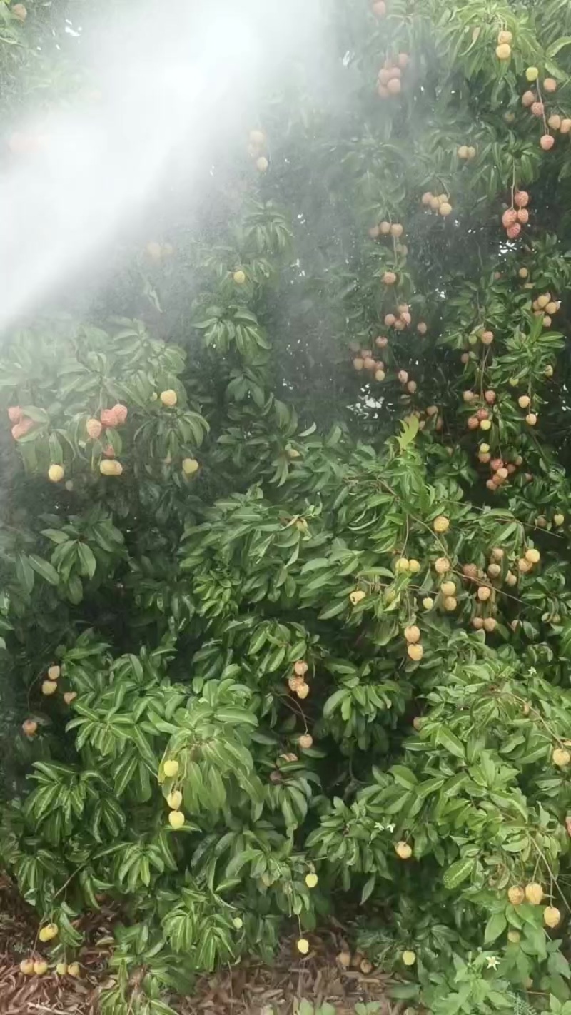 广东省揭阳市惠来县东埔场东埔下乡