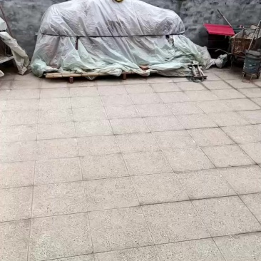 想卖菜籽