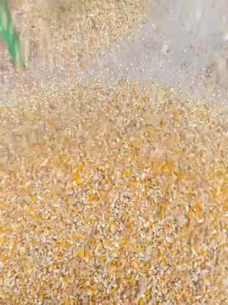 碎玉米