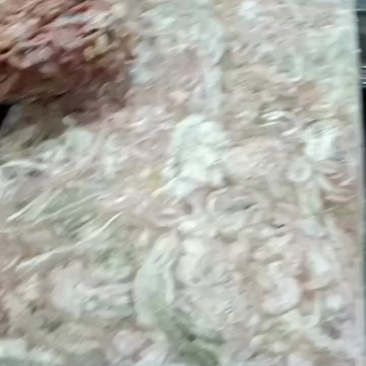 鸡肠