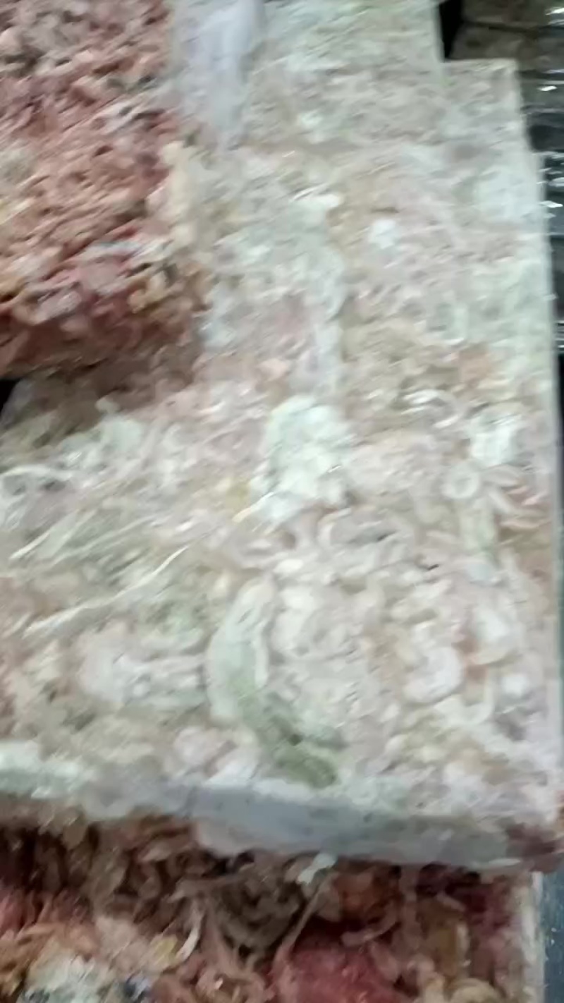 鸡肠