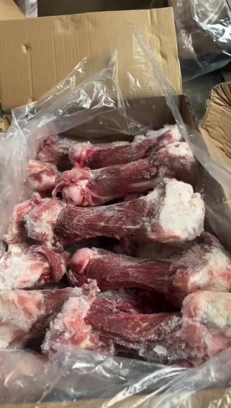 后棒骨