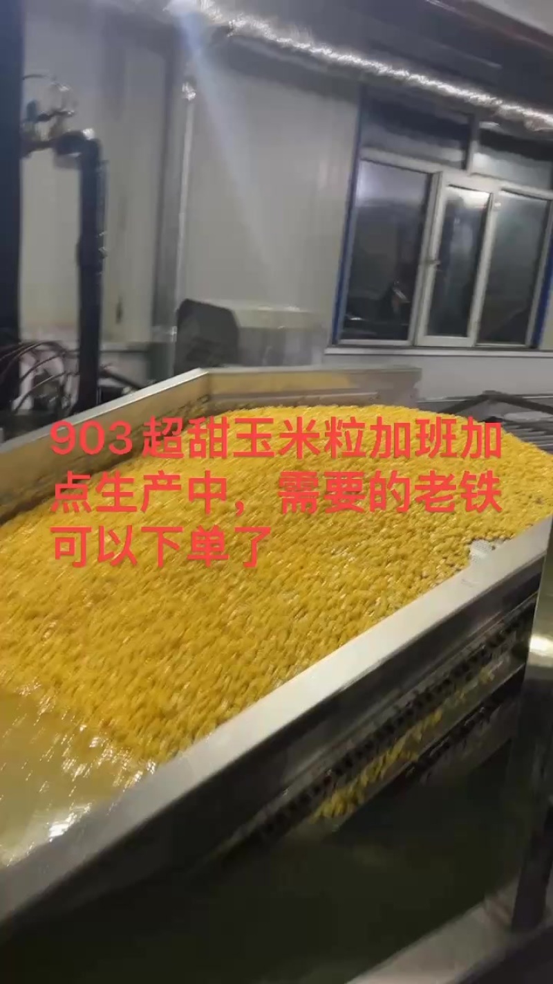 速冻玉米粒速冻玉米棒真空玉米棒