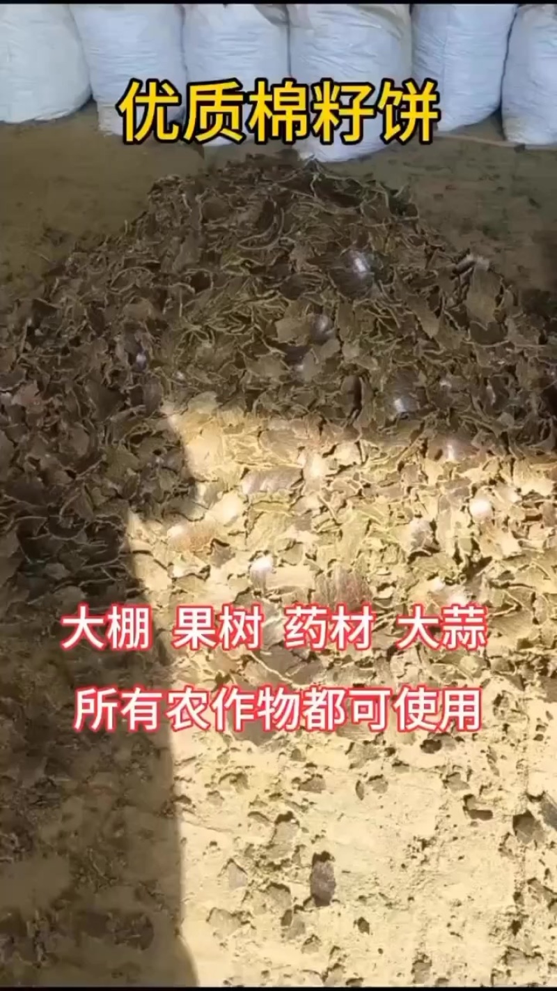 优质棉籽饼