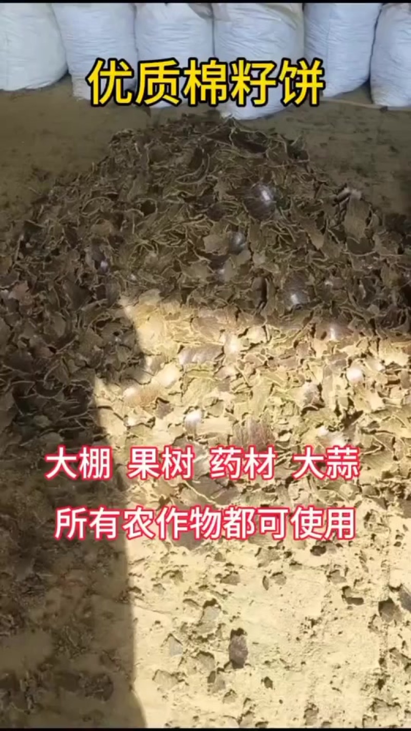 优质棉籽饼