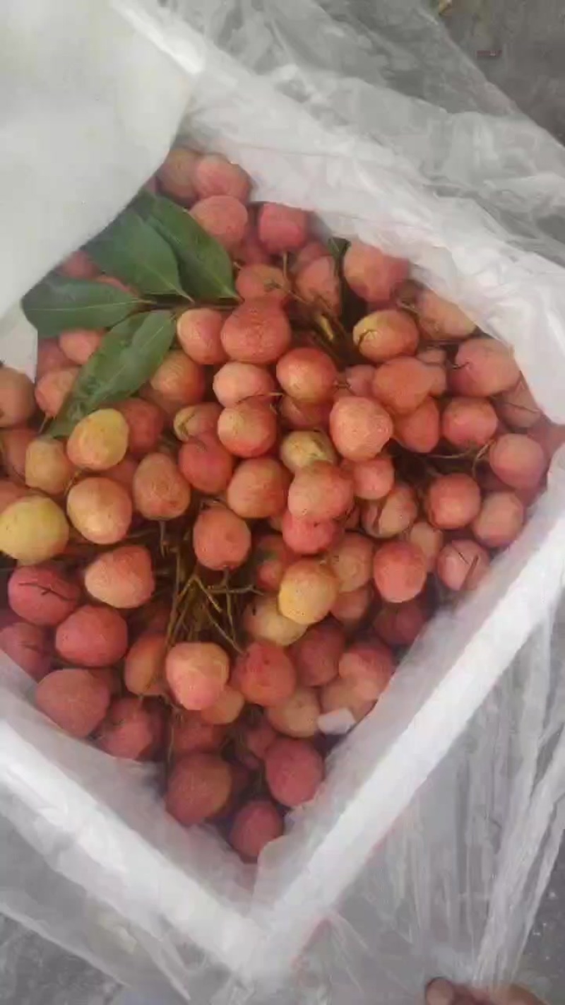 越南荔枝